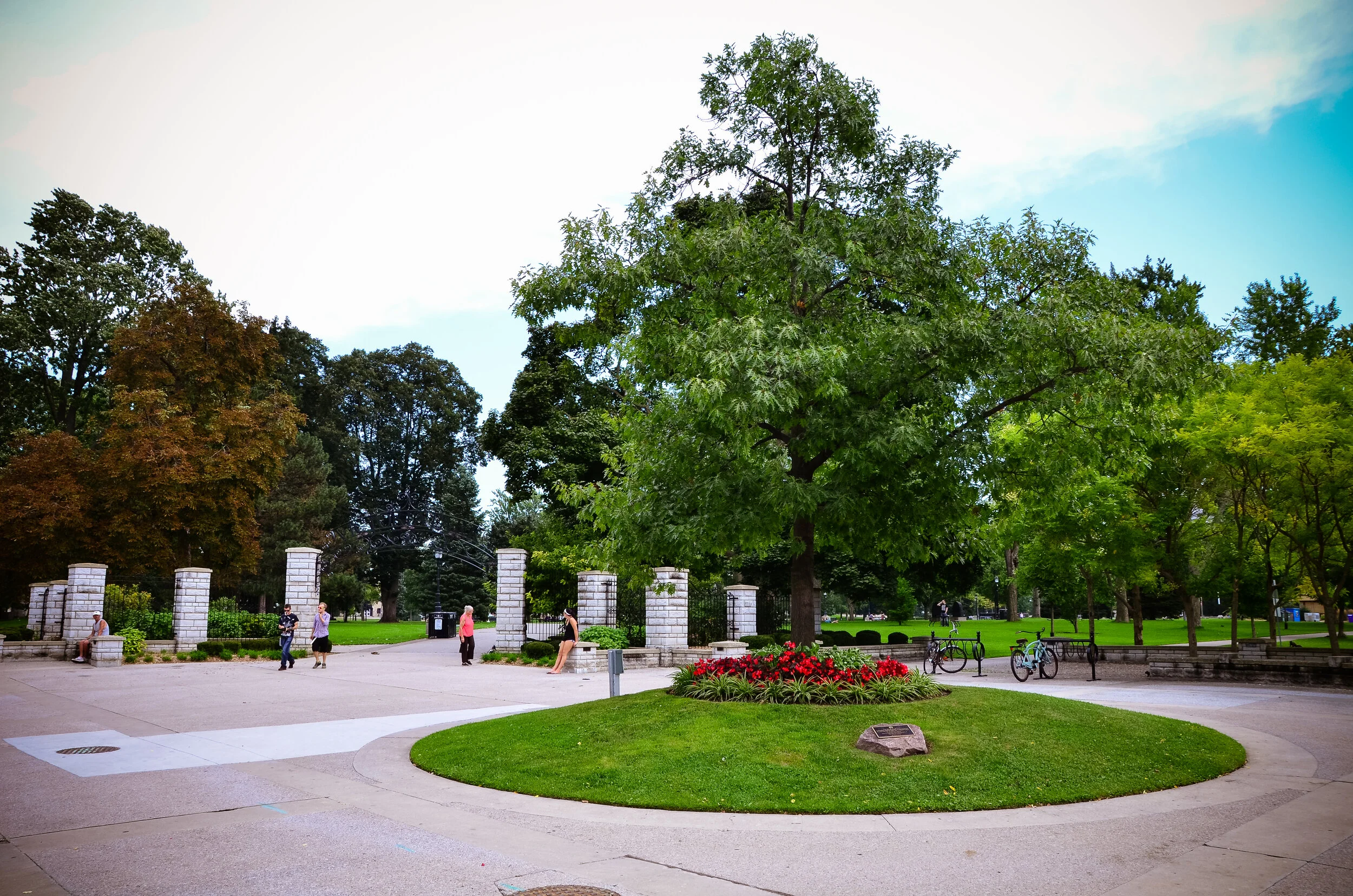 garden
